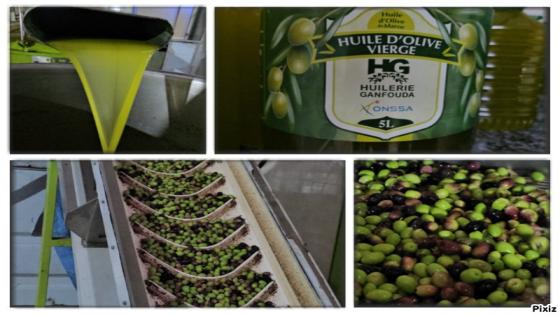 شاهدوا معصرة الزيتون عصرية وفيها مختبر الجودة بمدخل قنفودة بثمن مناسب