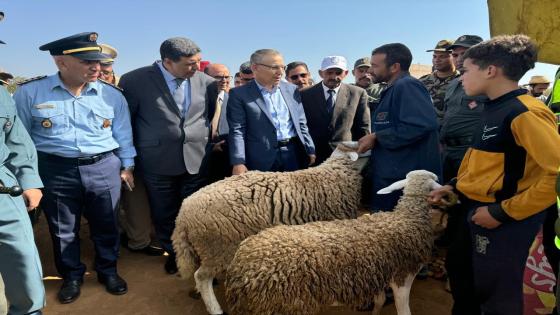 تنزيلا للتعليمات الملكية..الوالي خطيب الهبيل يسرع ويتصدى للتهاون في عملية الاحصاء