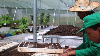 معهم حيث هم: نماذج ناجحة