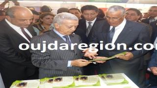 الوالي الجامعي يكشف واقع الاقتصاد الاجتماعي والتضامني بجهة الشرق