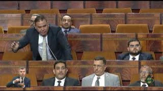 البرلماني رفيق مجعيط يكشف للبرلمان معاناة الجالية المغربية مع صعوبة الاستثمار
