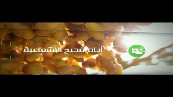 فيديو..أيام فجيج الاشعاعية الجمعة المقبلة ومن المرتقب تشكيل تصور جديد لتأهيل المنطقة
