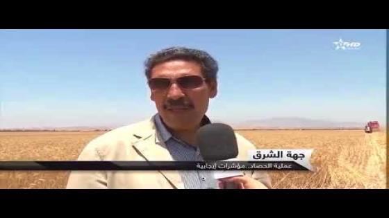 روبرتاج..هكذا نجحت المديرية الجهوية بالشرق للفلاحة في موسم الحصاد 2018