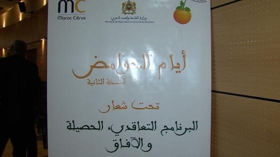 سلسلة الحوامض رافعة للتنمية السوسيو اقتصادية توفر أزيد من 120 ألف منصب شغل قار