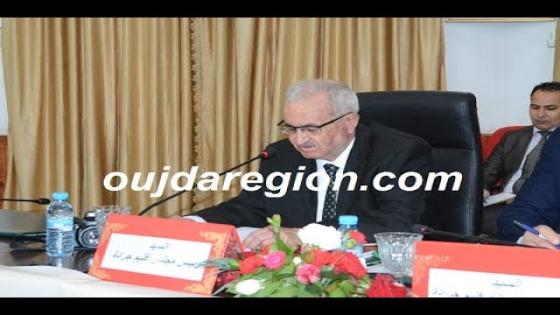 فيديو..عبداللاوي:مشروع تثمين وتدبير النفايات المنجمية بجرادة سيخلق فرص الشغل