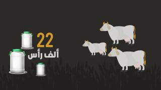 روبرتاج…المؤهلات الفلاحية لاقليم جرسيف