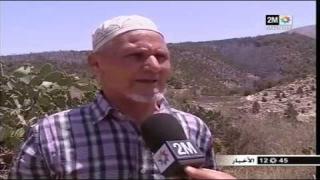 بالفيديو…بركان:استراتيجية المندوبية السامية للمياه والغابات ومحاربة التصحر