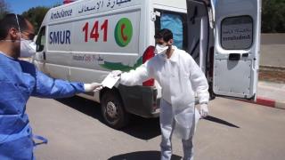 شاهدوا..تصريحات المتعافين من كورونا ببركان