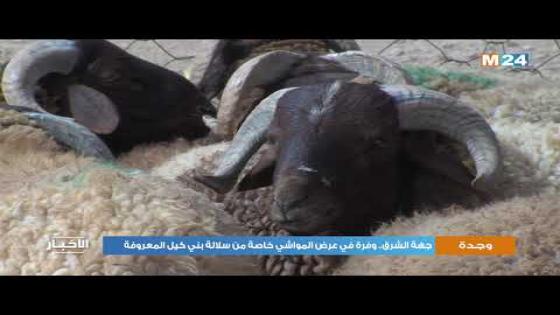 عيد الاضحى بجهة الشرق