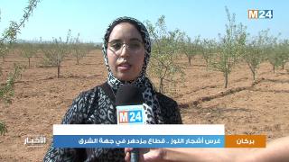 واقع قطاع اشجار اللوز بجهة الشرق