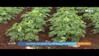 جهة الشرق .. التساقطات المطرية الأخيرة تنعش آمال الفلاحين