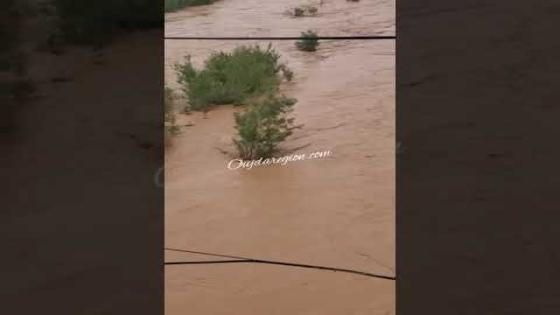 واد ملوية حاليا﴿ وَهُوَ الَّذِي يُنَزِّلُ الْغَيْثَ مِن بَعْدِ مَا قَنَطُوا وَيَنشُرُ رَحْمَتَهُ ۚ وَهُوَ الْوَلِيُّ الْحَمِيدُ﴾