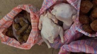 بركان…ماكولات فاسدة ولجنة حفظ الصحة تدخل على الخط