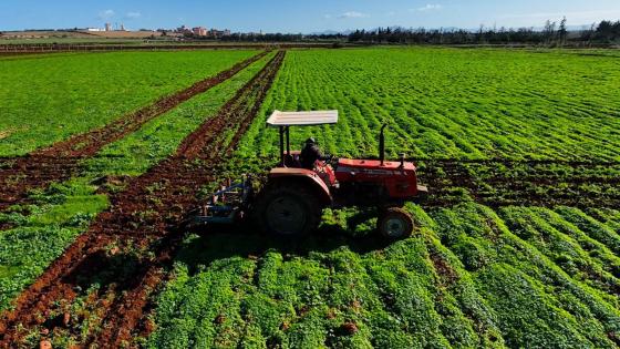 صور من بركان امطار الخير والبركات