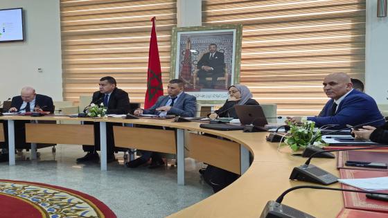 ورشة تشاورية حول موضوع الجاذبية المجالية في ذكرى المبادرة الملكية السامية لتنمية جهة الشرق