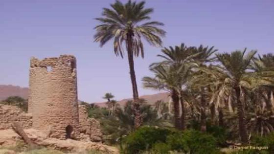 فيديو…فكيك:انطلاق المرحلة الأولى لترميم وتاهيل القصور السبعة
