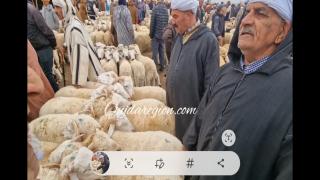 سوق الأغنام بوجدة الخير موجود والاثمنة بين 2800 و6000 درهم وستنخفض حسب أراء الكسابة