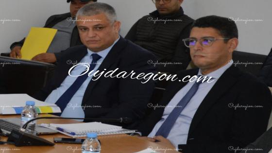 وجدة..ضبط محلات تجارية وفيرمات سارقين الضو لسنوات