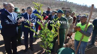 شاهدوا..الوالي خطيب الهبيل والمدير العام للغابات يطلقان تشجير غابة سيدي امعافة وجدة