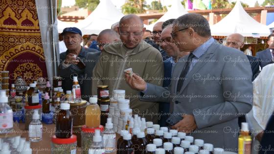جرادة تعيش الحدث في عيد العرش بلكايد عامل الإقليم يقيم معرضا للتعاونيات المستفيدة من المبادرة الوطنية للتنمية البشرية