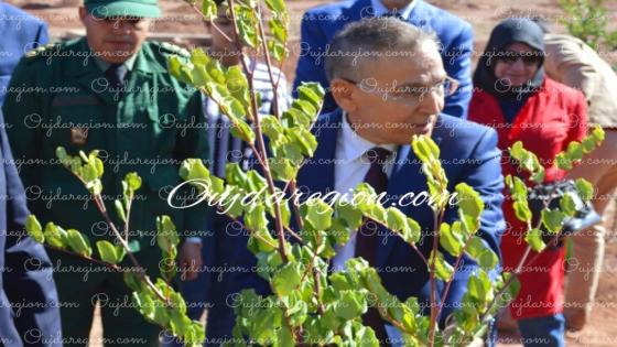 وجدة. الحزام الاخضر مشروع شجاع يحييه الوالي خطيب الهبيل