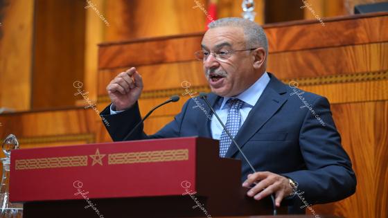 توتو يطحن ويكتسح طولا وعرضا بجرادة