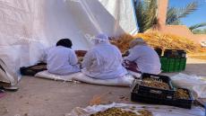 شوفو المبادرة فاقليم فجيج تطبع على الريادة عندما يجتمع الصدق بالوطنية