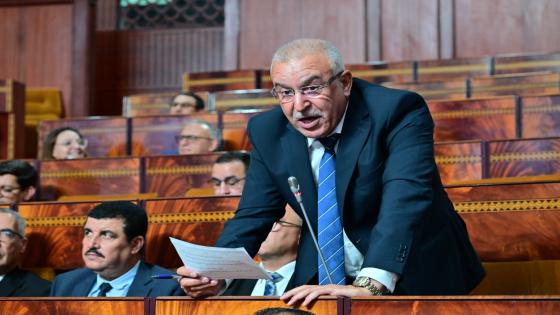 البرلماني توتو ديما في الصدارة فالدفاع وايصال صوت المواطنين