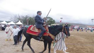 بالفيديو:أجواء موسم أولاد منصور بالسعيدية