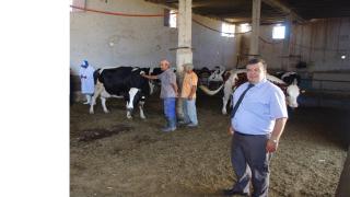الدكتور نور الدين العطار:التحريات الميدانية تثبت عدم وجود الحمى القلاعية