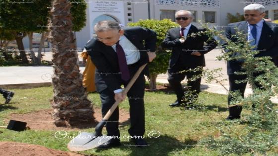 وجدة تحيي المساحات الخضراء ..الوالي خطيب الهبيل يغرس شجرة الاركان بمقر الولاية