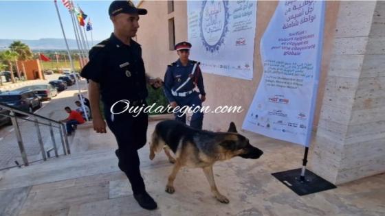 شاهدوا..ترتيبات وانزال للدرك الملكي والقوات المساعدة بالبودشيشية نجح في تأمين احتفالات المولد النبوي