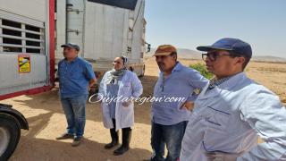 وجدة..التلفزة المغربية تسلط الضوء على مجهودات لونسا في ضمان صحة عيد الاضحى