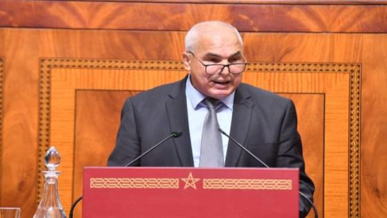 البرلماني اعنان يدعو وزيرة التضامن الى تنظيم العمل الاجتماعي وتجويده