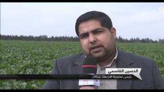الحسين قاسمي والموسم الفلاحي ببركان بعد امطار الخير