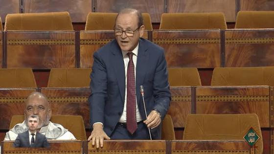 البرلماني البوكيلي يشكو للحكومة غلاء البواخر على افراد الجالية المغربية