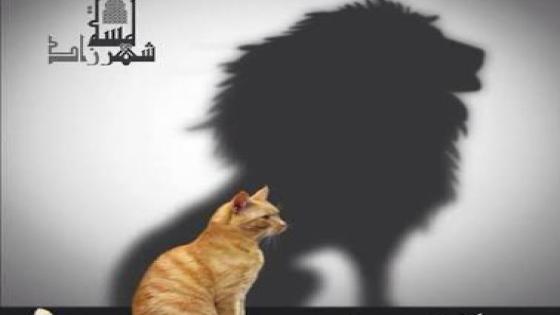 الكاموني يبقى كاموني..سيارات الدولة تغيب في لقاءات حزبية