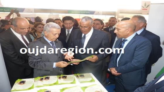 فيديو وصور..وجدة:الوزير ساجد والوالي الجامعي يفتتحان معرض الاقتصاد الاجتماعي والتضامني