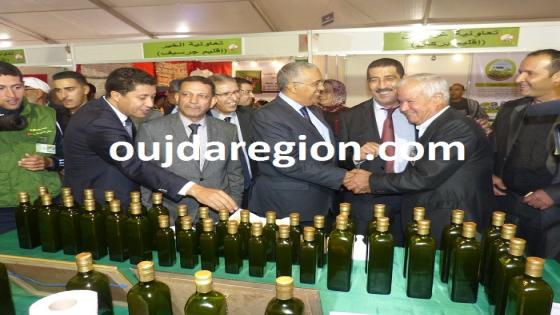 روبرتاج…افتتاح الدورة الأول لمعرض الزيتون بكرسيف