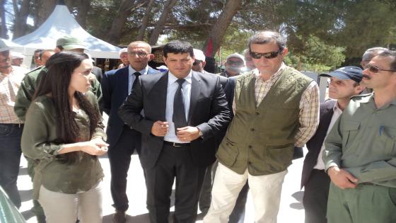 بالفيديو… الحافي يطلع على وضعية الغطاء الغابوي بجرادة و فكيك (صور)