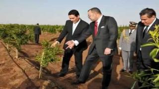 المغرب يثمن منتوجات الاستغلاليات الفلاحية العائلية