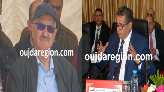 فيديو…جرادة:رئيس مجلس العمالة يبسط أمام أخنوش المعاناة والحلول