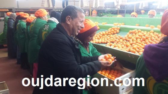 فيديو..أحمد تاريفيت “كليمانتين” 2017 تميز بجودة عالية والدخول إلى السوق الافريقية أمر ضروري