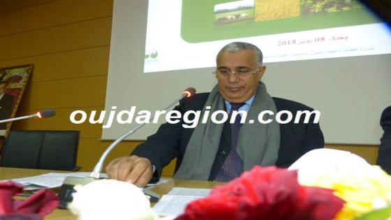 فيديو..الوالي الجامعي:جهة الشرق تنافس وطنيا ودوليا بزراعات ومنتوجات عالية الجودة