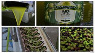 شاهدوا معصرة الزيتون عصرية وفيها مختبر الجودة بمدخل قنفودة بثمن مناسب