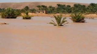 فيديو فك العزلة عن الرحل بإقليم فجيج من اثار الفيضانات