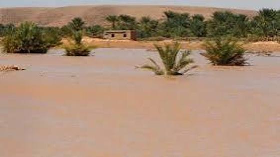 فيديو فك العزلة عن الرحل بإقليم فجيج من اثار الفيضانات