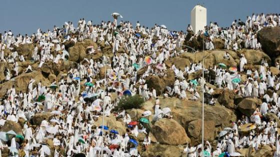 “حوالي مليوني حاج يقفون اليوم بعرفات لأداء ركن الحج الأعظم”