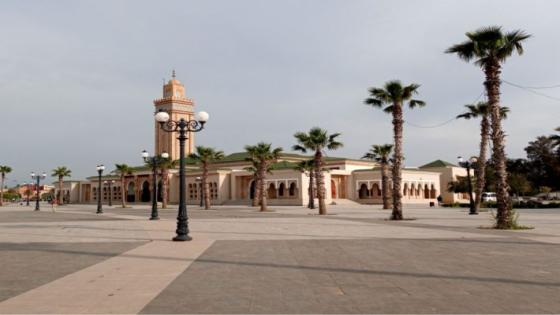 وجدة..قرب الانتخابات يخرج الصراصير ويرجع الاصدقاء اعداء ويكثر صفات المنافقين